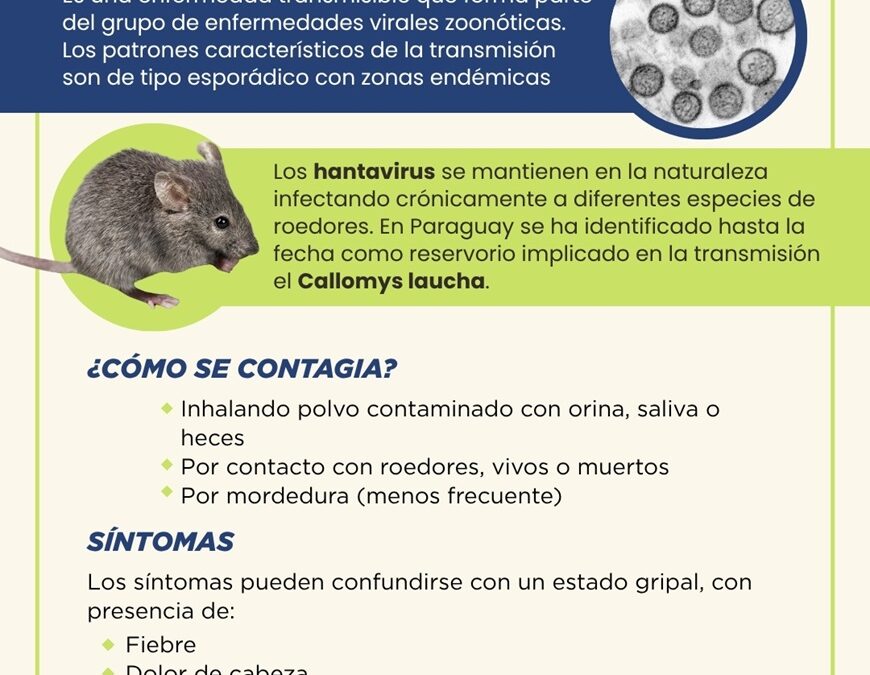 Hantavirus en Paraguay: situación actual, transmisión, síntomas y prevención