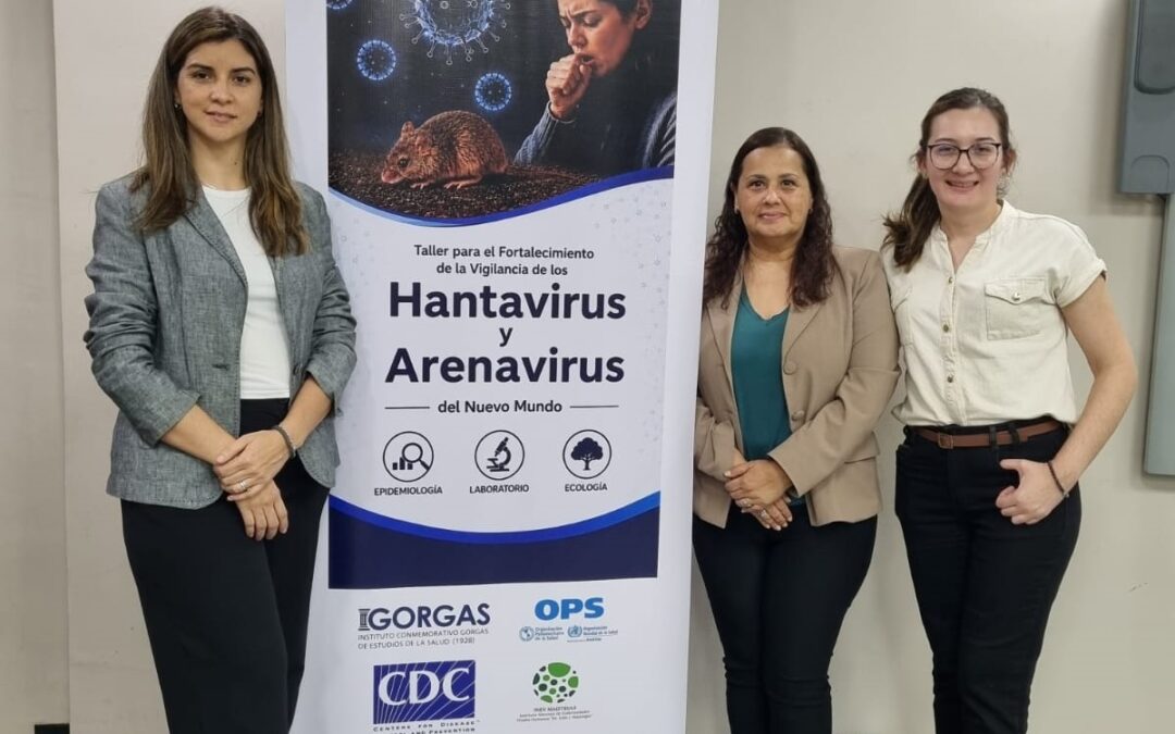 Alianza regional: países unen fuerzas para fortalecer la vigilancia y control del hantavirus y arenavirus
