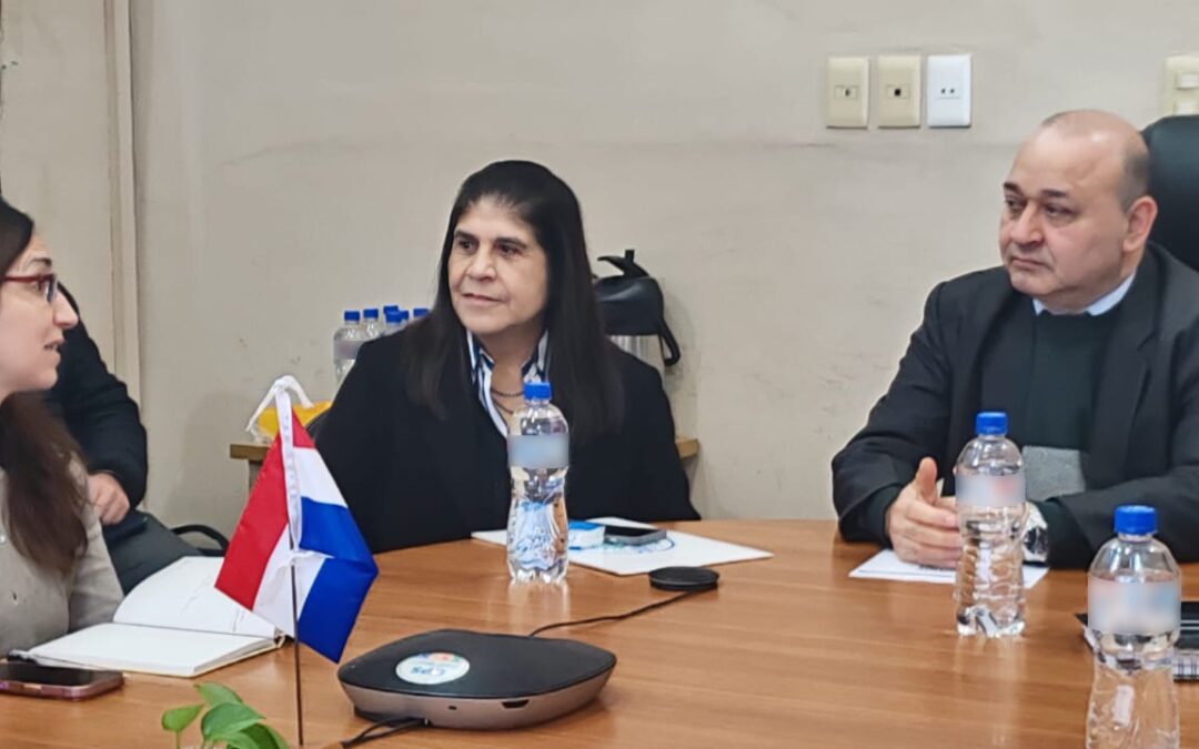 Ministerio de Salud desarrolla el primer estudio de multimorbilidad en el país