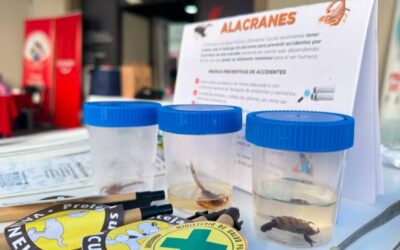 Ciencia y diversión en la Expo: con actividades lúdicas y charlas enseñan sobre prevención de las zoonosis