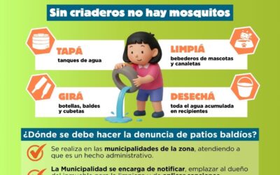 Dengue: con baja circulación y escaso número de afectados