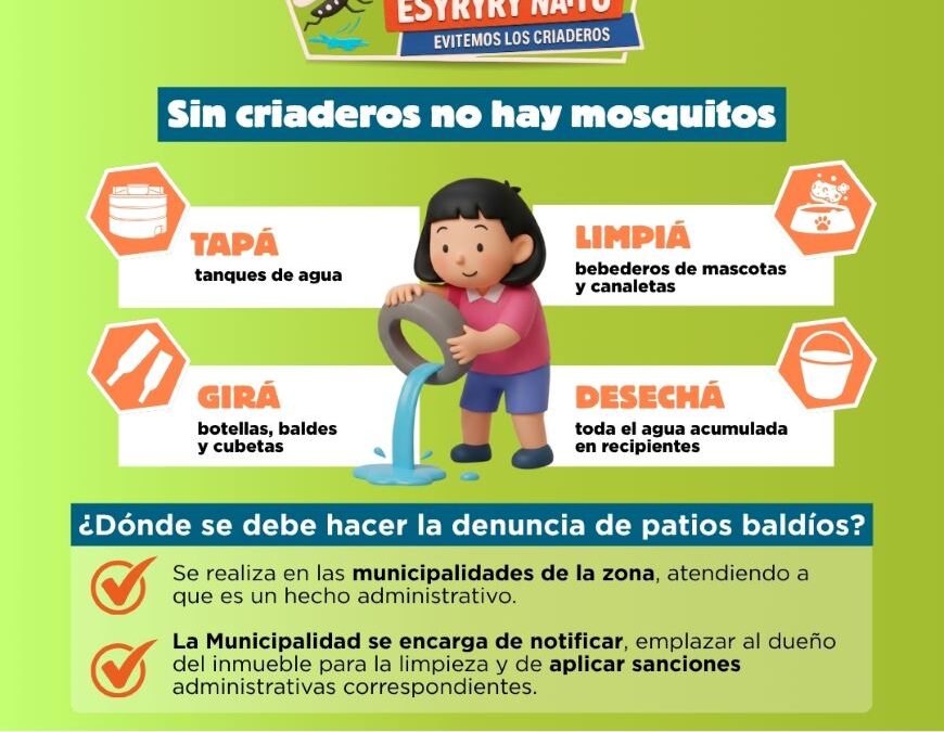 Dengue: con baja circulación y escaso número de afectados