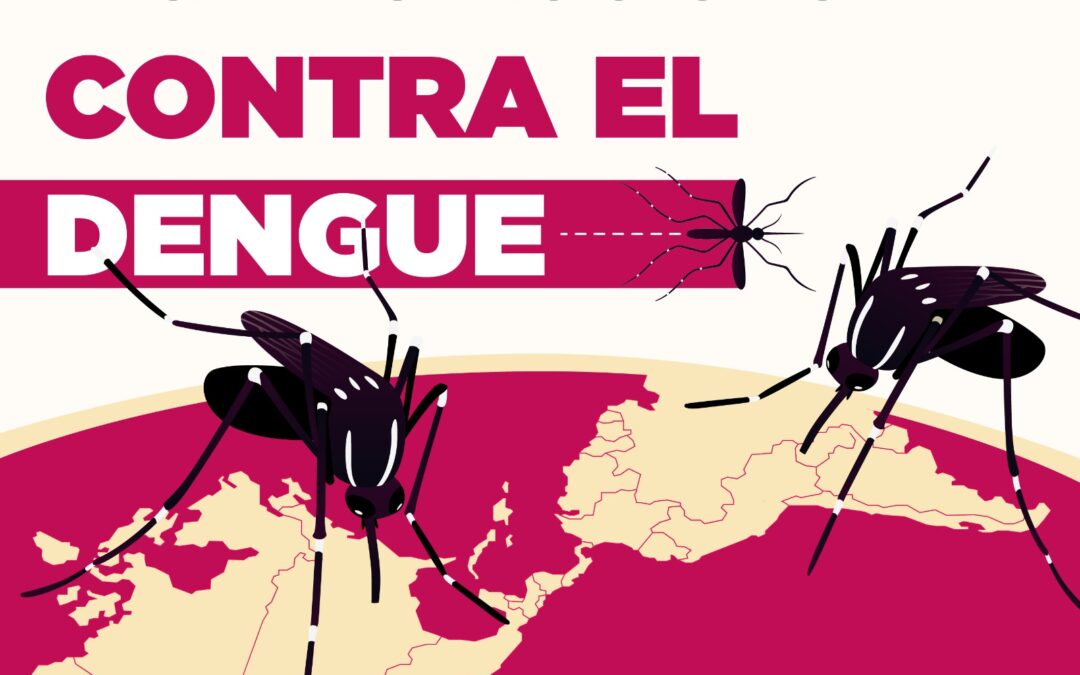 Día Internacional contra el Dengue: un día para recordar, 365 días para prevenir