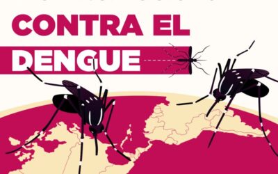 Día Internacional contra el Dengue: un día para recordar, 365 días para prevenir
