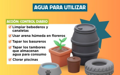 Sin casos de dengue y con notificaciones en descenso en las últimas semanas