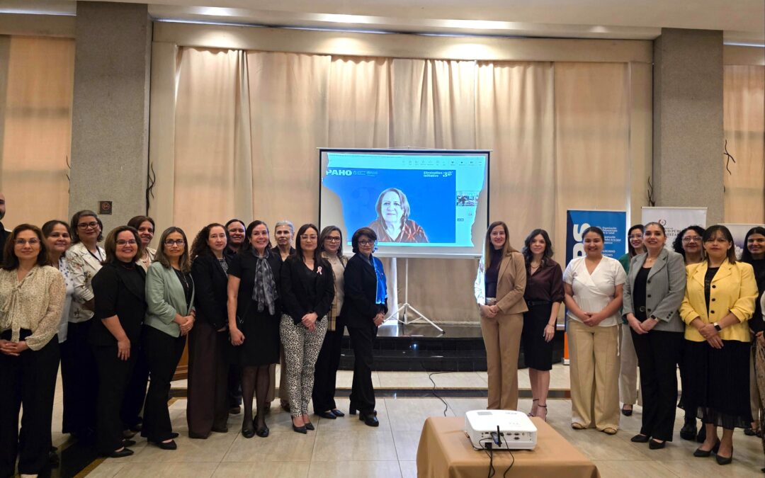 Salud coordina taller para validar hoja de ruta que acelerará la eliminación de enfermedades transmisibles